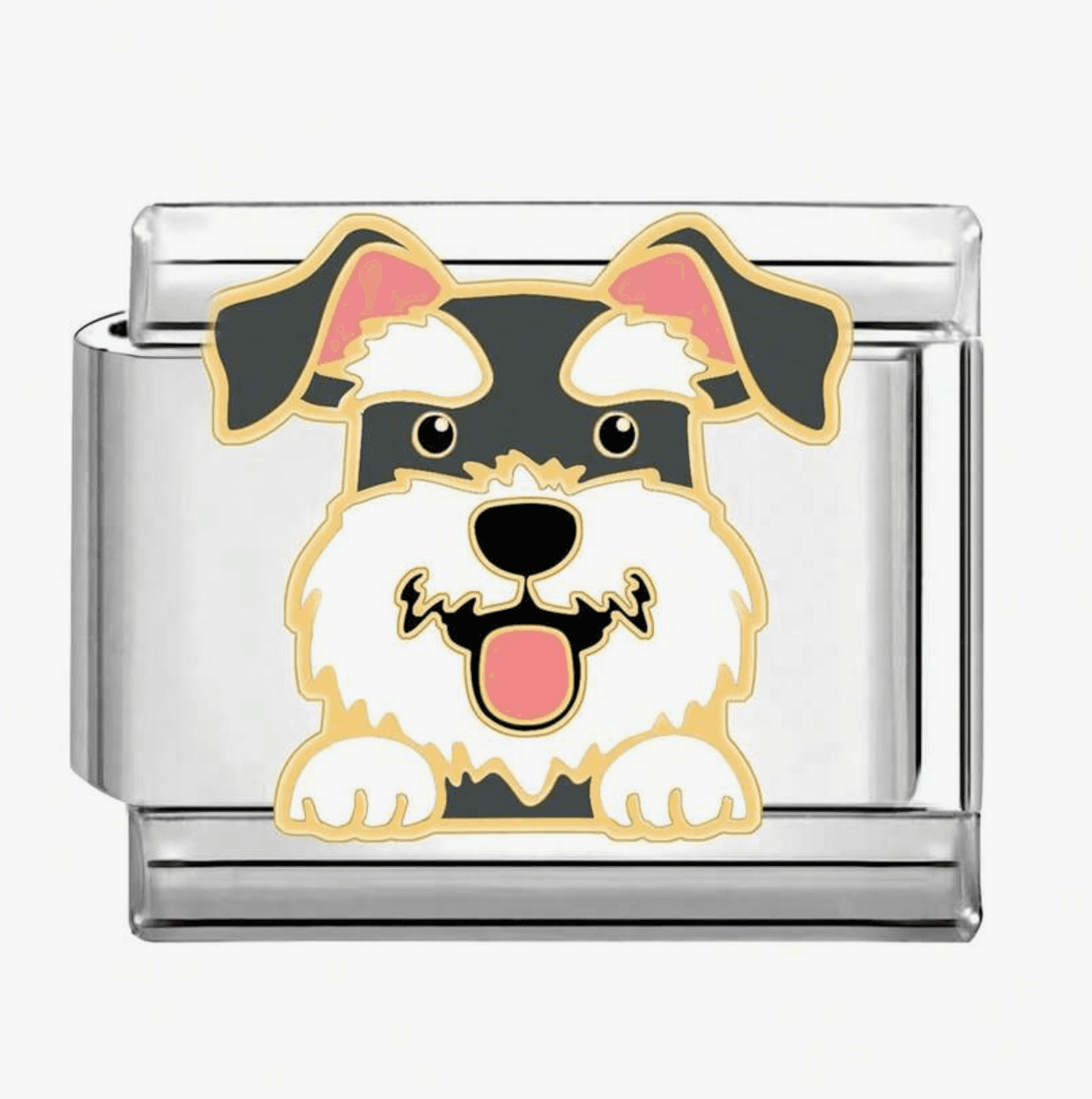 Charm Puppies — Schnauzer