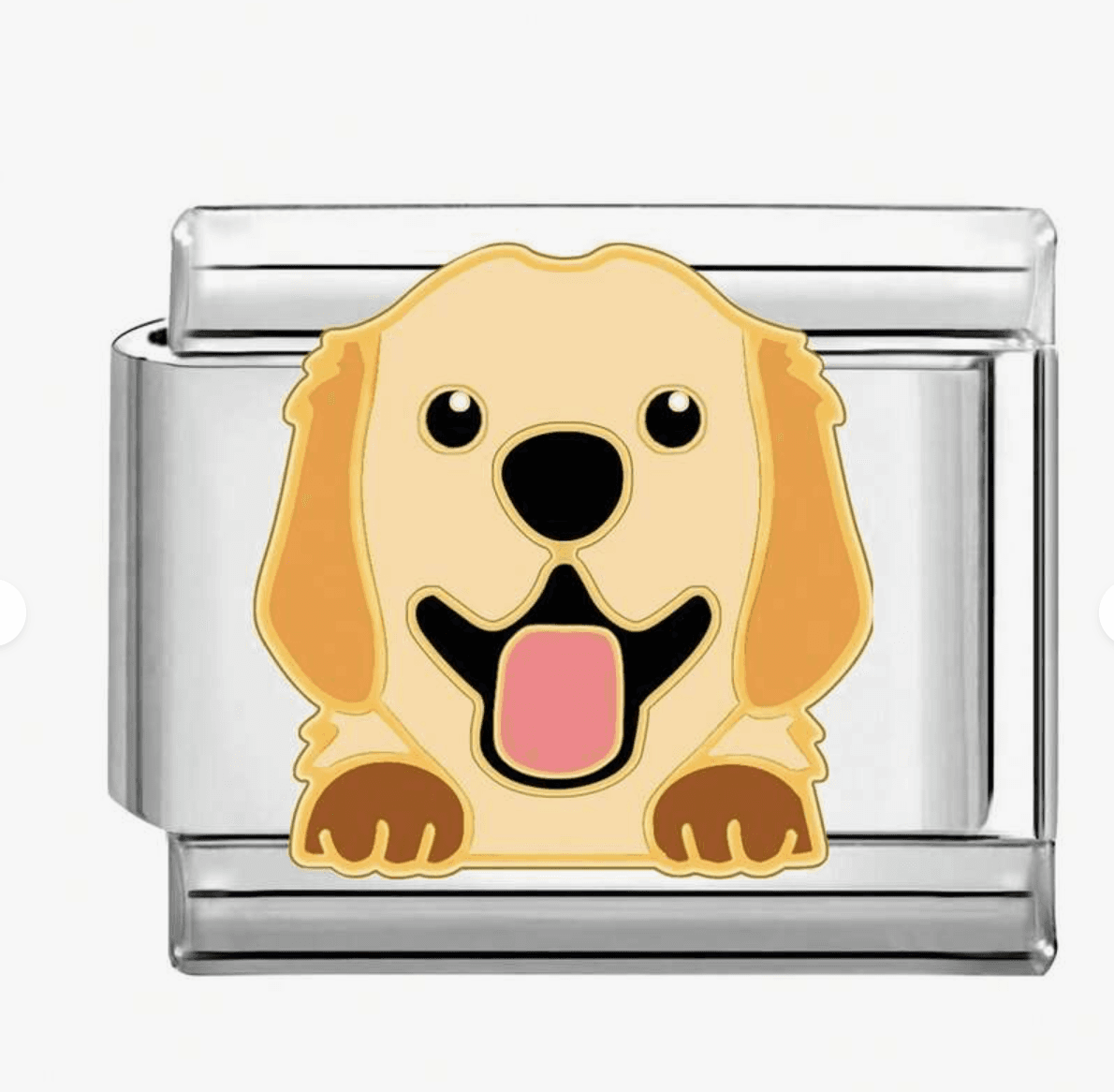Charm Puppies — Labrador